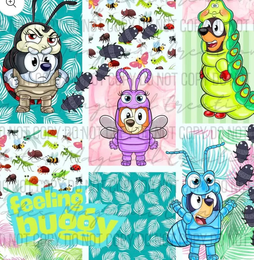Summer- bugs